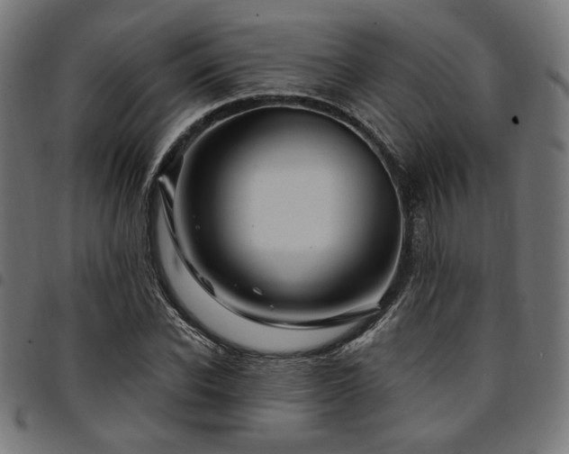 X0000095530926200712141459