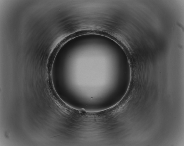 X0000095530927200712141459