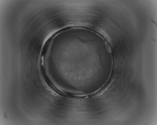 X0000095530928200712141459