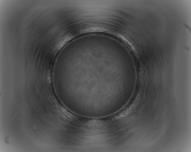 X0000095530929200712141459