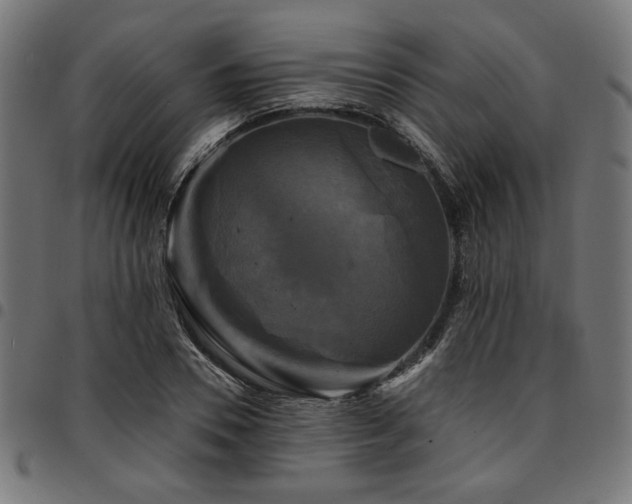X0000095530930200712141459