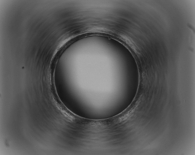 X0000095530931200712141459