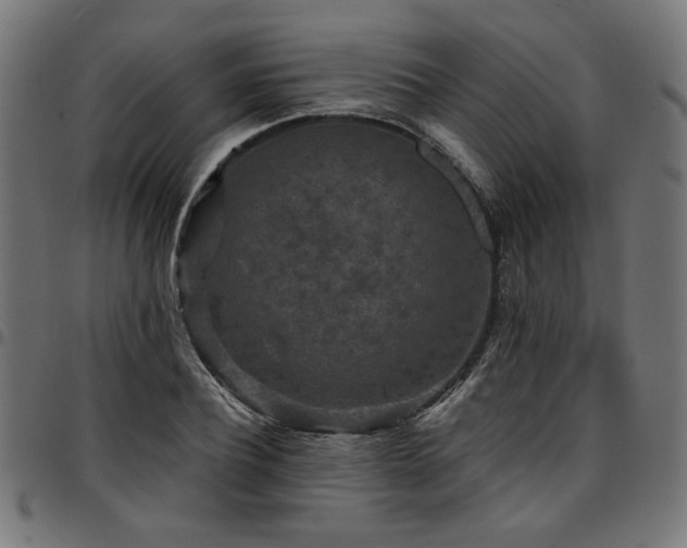 X0000095530932200712141459