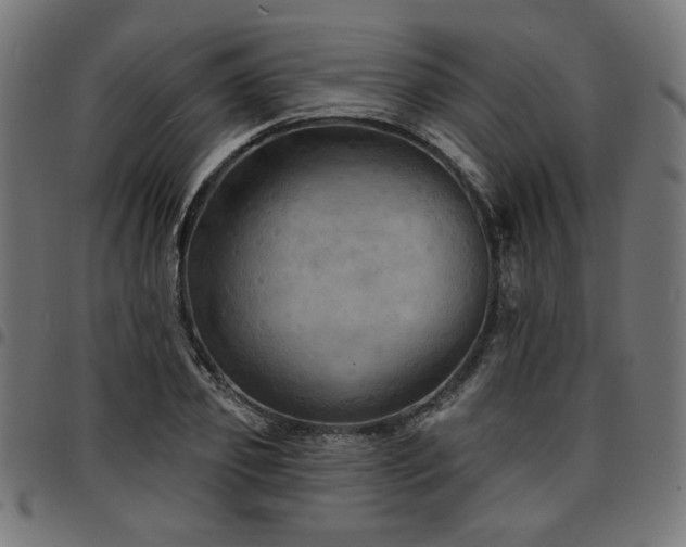 X0000095530933200712141459
