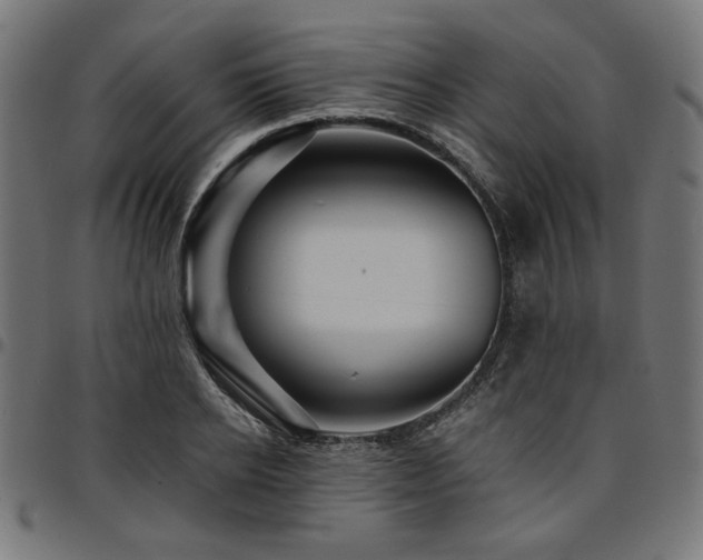 X0000095530934200712141459