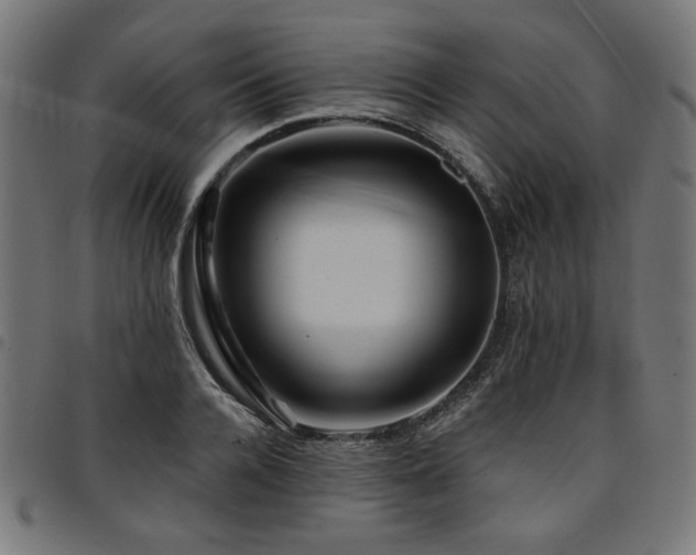 X0000095530936200712141459