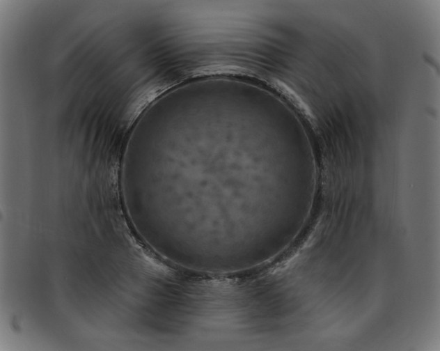 X0000095530937200712141459