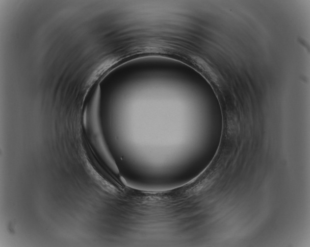 X0000095530938200712141459