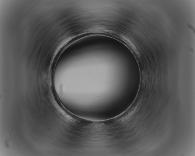 X0000095530939200712141459