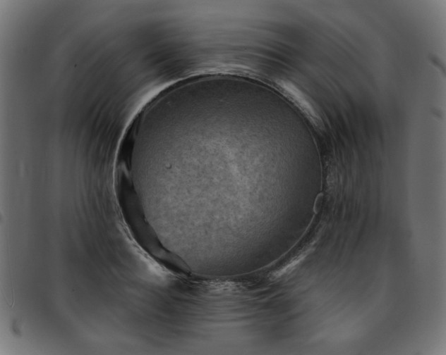 X0000095530940200712141459