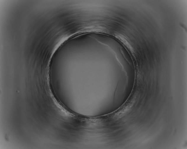X0000095530941200712141459