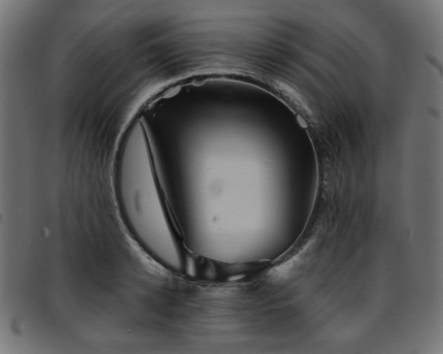 X0000095530942200712141459