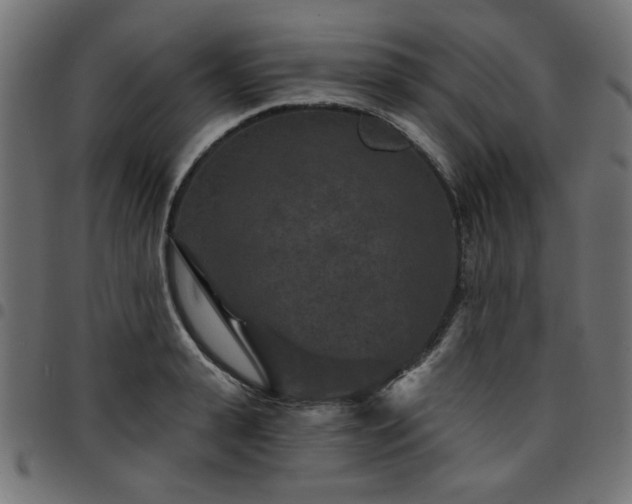 X0000095530943200712141459