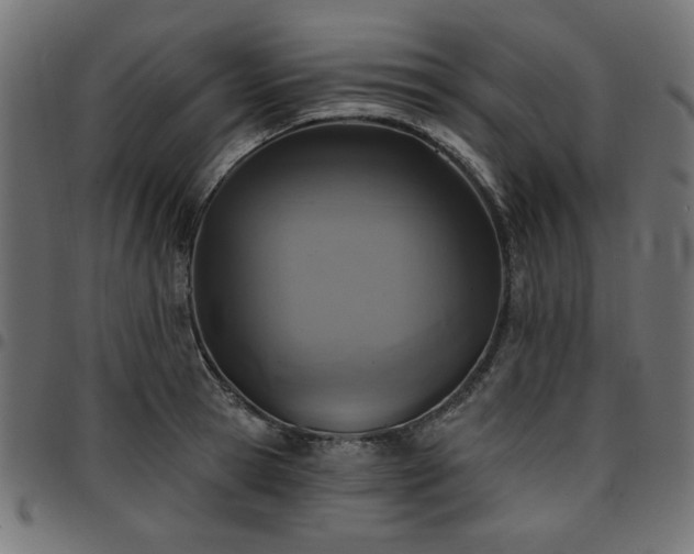 X0000095530945200712141459