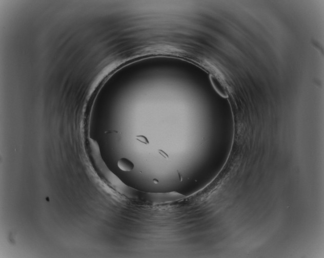 X0000095530947200712141459