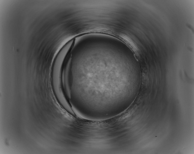 X0000095530948200712141459