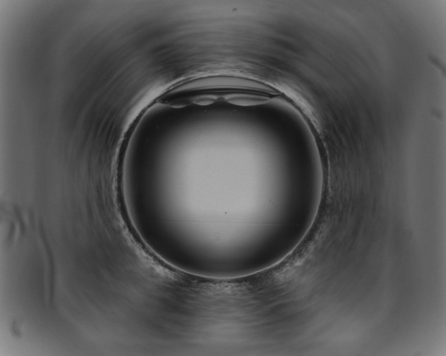 X0000095530949200712141459