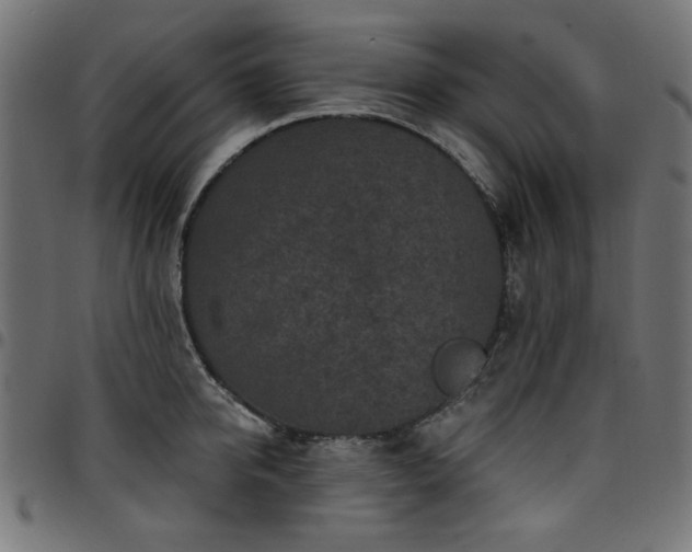 X0000095530950200712141459