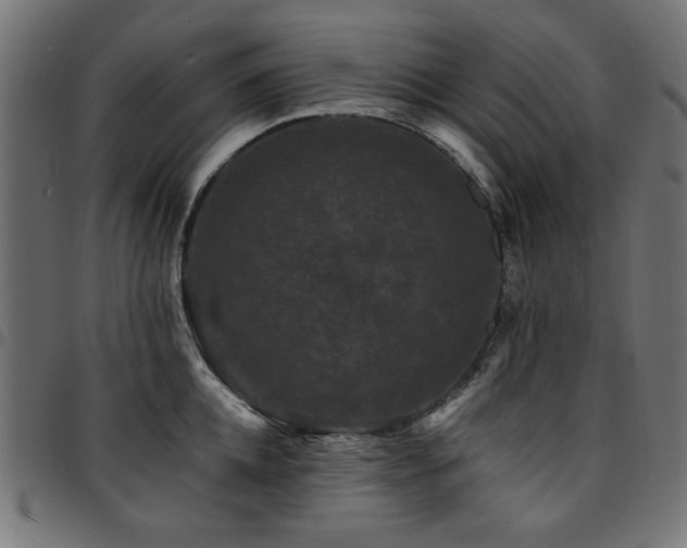X0000095530952200712141459