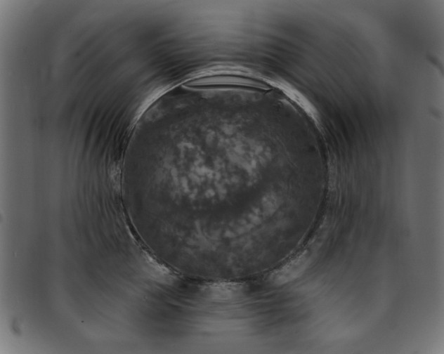 X0000095530953200712141459
