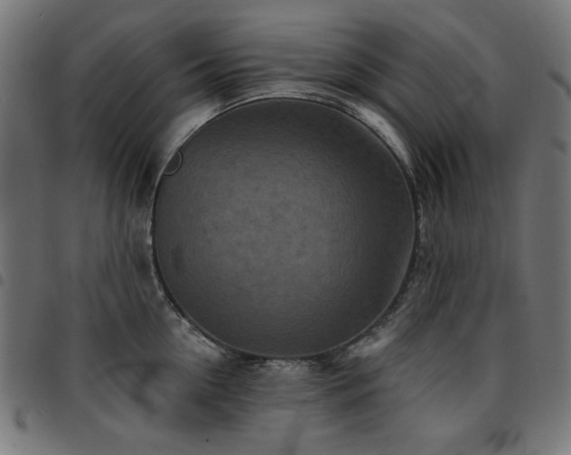 X0000095530954200712141459