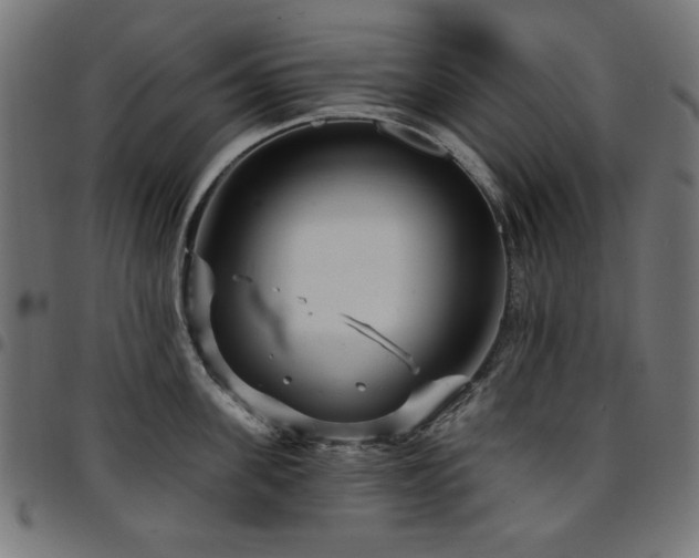 X0000095530955200712141459