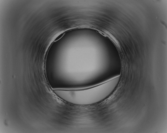 X0000095530956200712141459