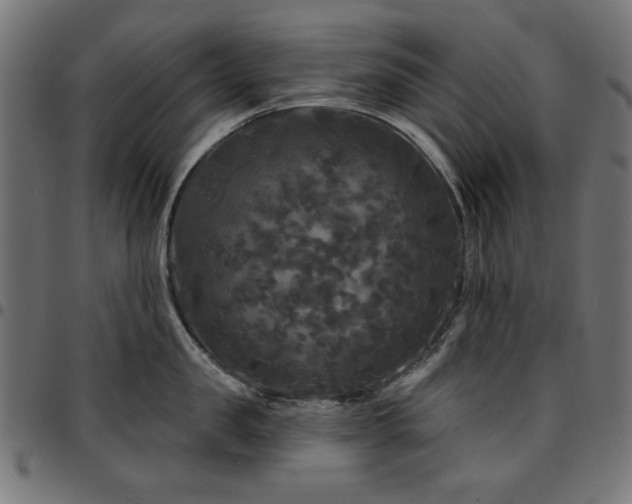 X0000095530957200712141459