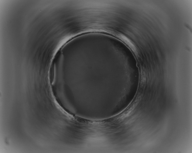 X0000095530958200712141459