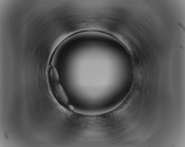 X0000095530959200712141459