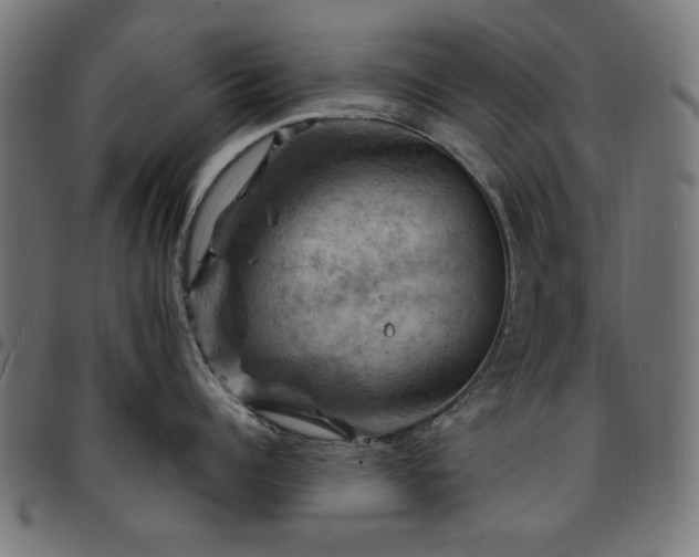 X0000095530960200712141459