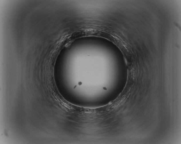 X0000095530961200712141459