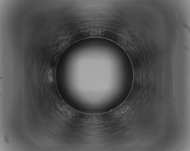 X0000095530962200712141459