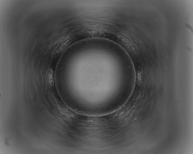 X0000095530963200712141459