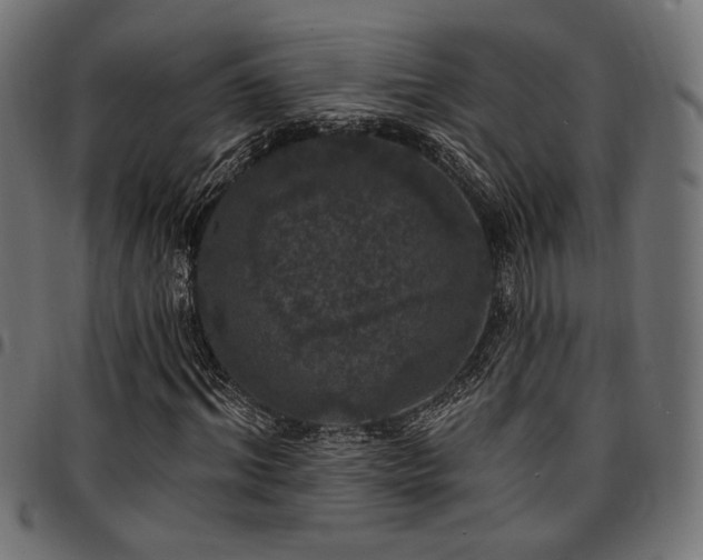 X0000095530964200712141459