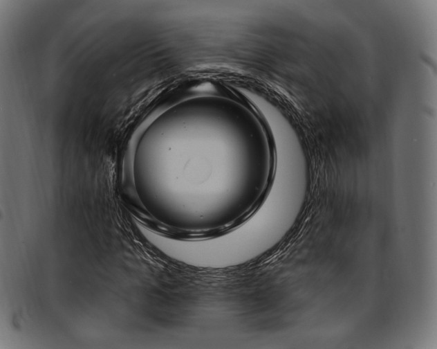 X0000095530965200712141459