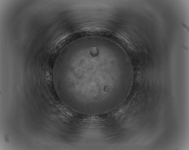 X0000095530966200712141459