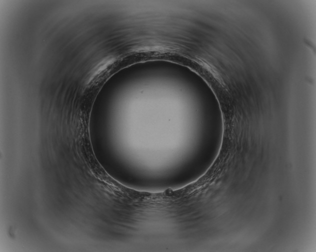 X0000095530967200712141459