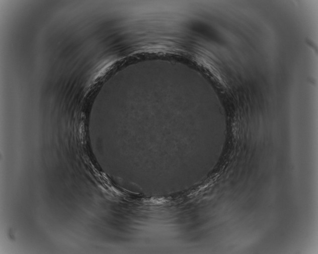 X0000095530968200712141459