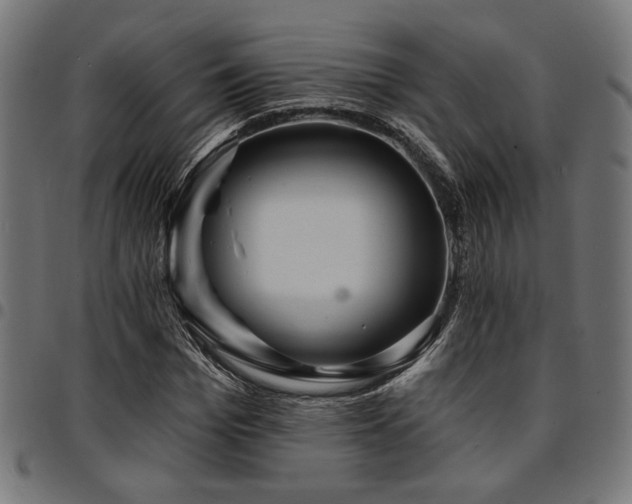 X0000095530969200712141459