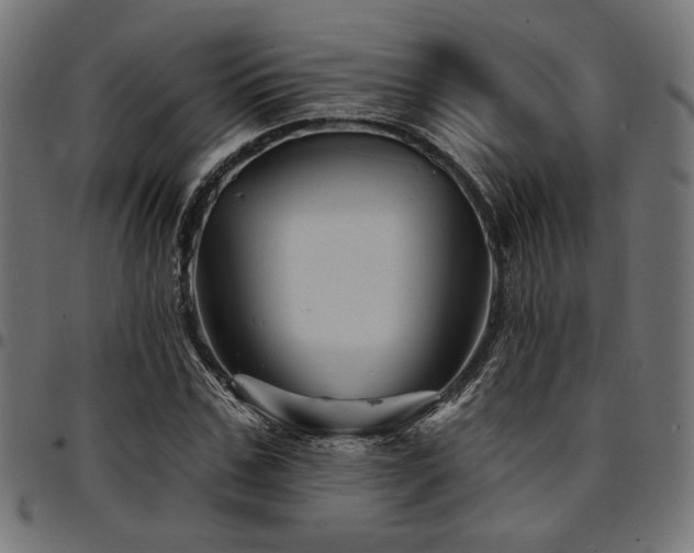 X0000095530971200712141458
