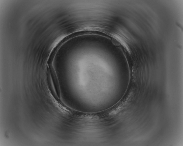 X0000095530972200712141458