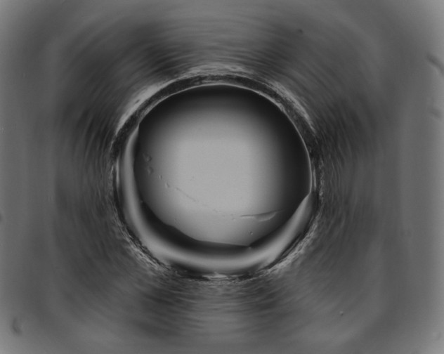 X0000095530973200712141458