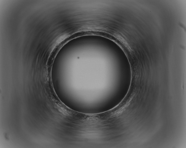 X0000095530974200712141458