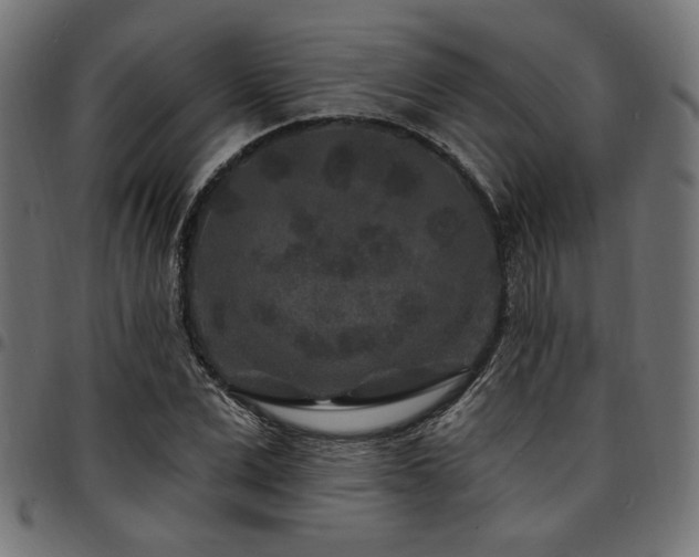 X0000095530975200712141458