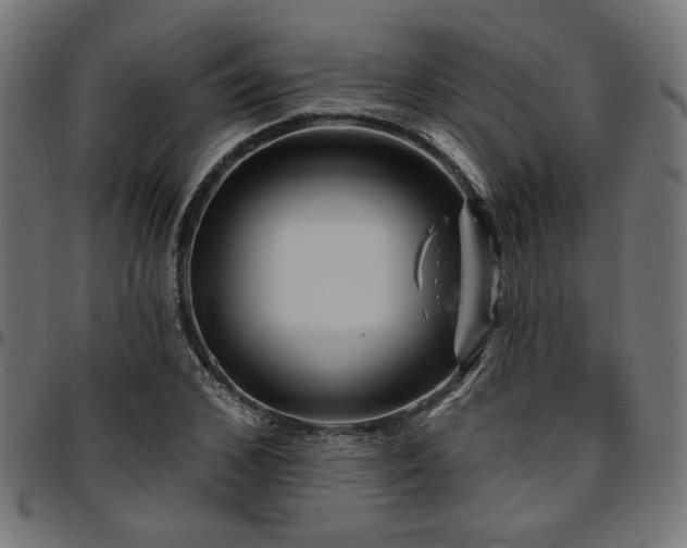 X0000095530976200712141458