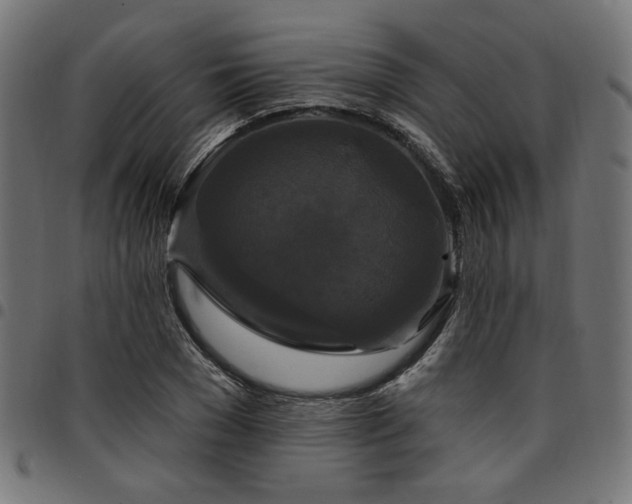 X0000095530977200712141458