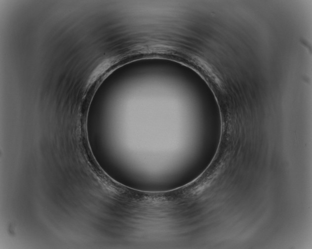 X0000095530978200712141458