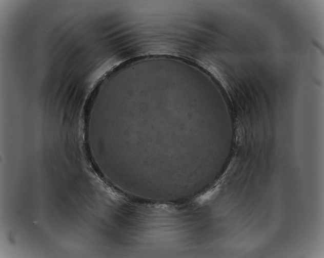 X0000095530979200712141458