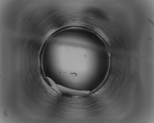 X0000095530980200712141458